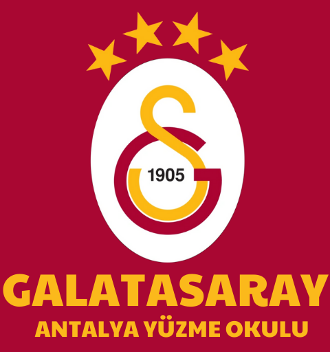 3 Aylık Kurs