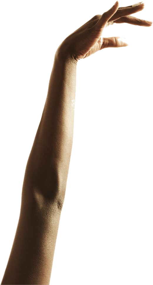 Anasayfa